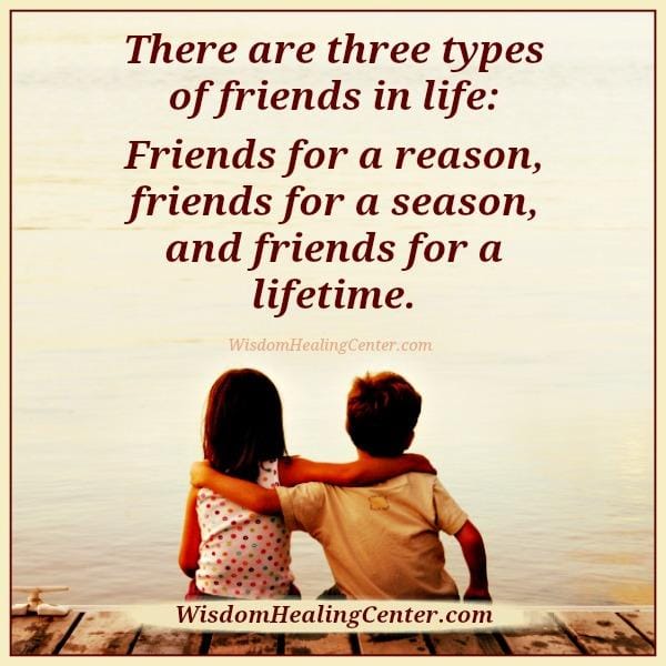 There are three types of friends in life
