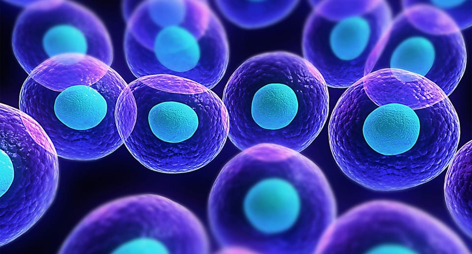 Cellular Healing Session