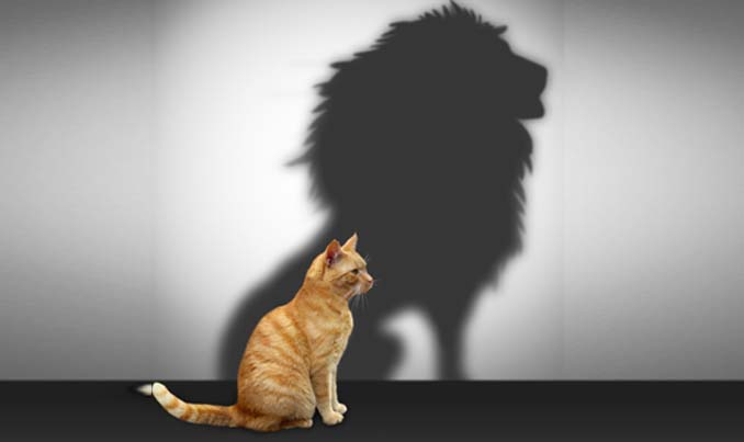 Self Esteem Self Confidence Healing