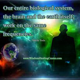 Everything in Life work on the same frequencies