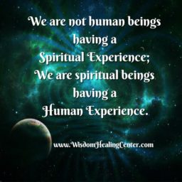 We are not Human beings