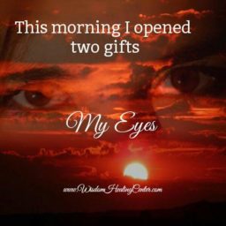 This morning I opened two gifts