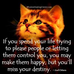 If you spend your life trying to please people If you spend your life trying to please people