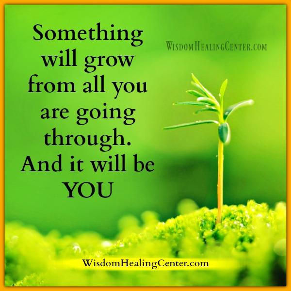 Something will grow from all you are going through - Wisdom Healing Center