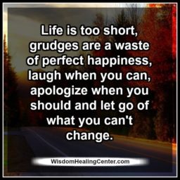 Grudges are a waste of perfect happiness